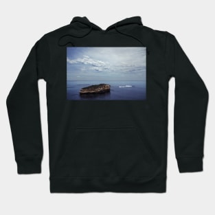 Calm Seclusion Hoodie